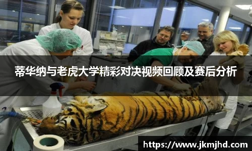 币游国际首页
